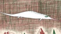 Vita brevis de Thierry Knauff : Une vie exaltée