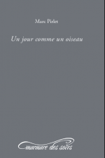 Un jour comme un oiseau