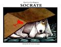 Socrate