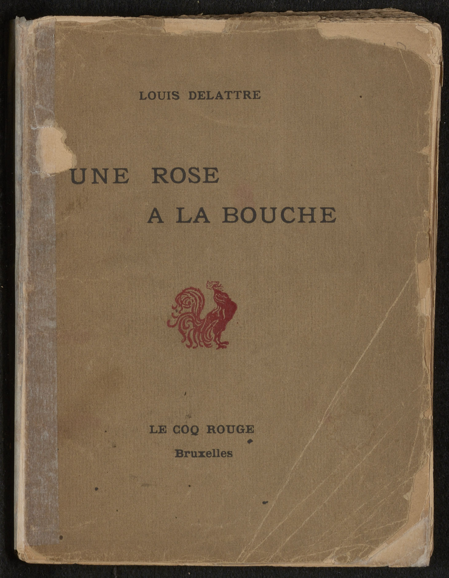 Une rose à la bouche : Contes