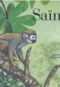 Saïmiri