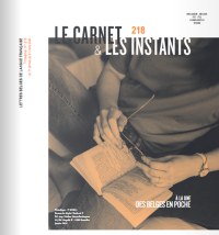 Du roman à la bande dessinée
